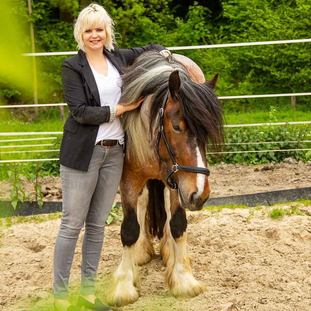 Pferdegestütztes Coaching Pferdegestütztes Coaching; Pferd; Pferde; Katharina; Hülsken; Havixbeck; Münsterland; Baumberge