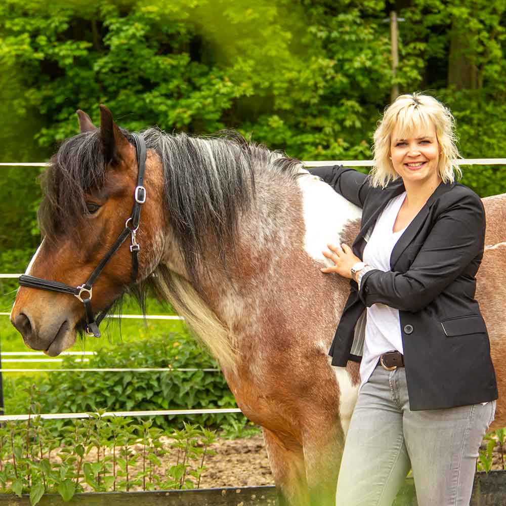 Pferdegestütztes Coaching Pferdegestütztes Coaching; Pferd; Pferde; Katharina; Hülsken; Havixbeck; Münsterland; Baumberge