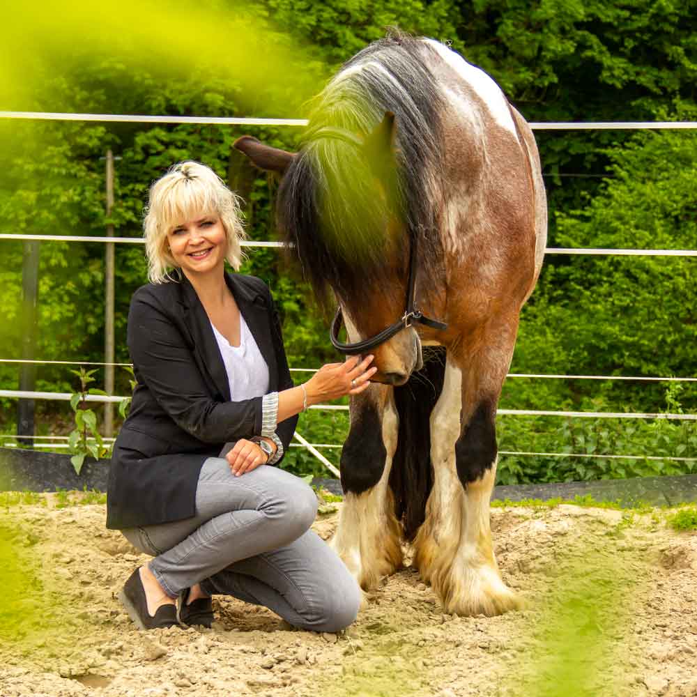 Pferdegestütztes Coaching Pferdegestütztes Coaching; Pferd; Pferde; Katharina; Hülsken; Havixbeck; Münsterland; Baumberge
