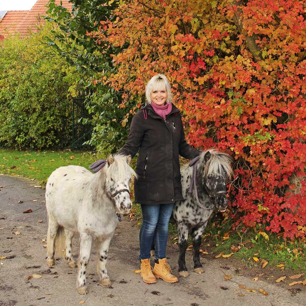 Pferdegestütztes Coaching; Pferd; Pferde; Katharina; Hülsken; Havixbeck; Münsterland; Baumberge