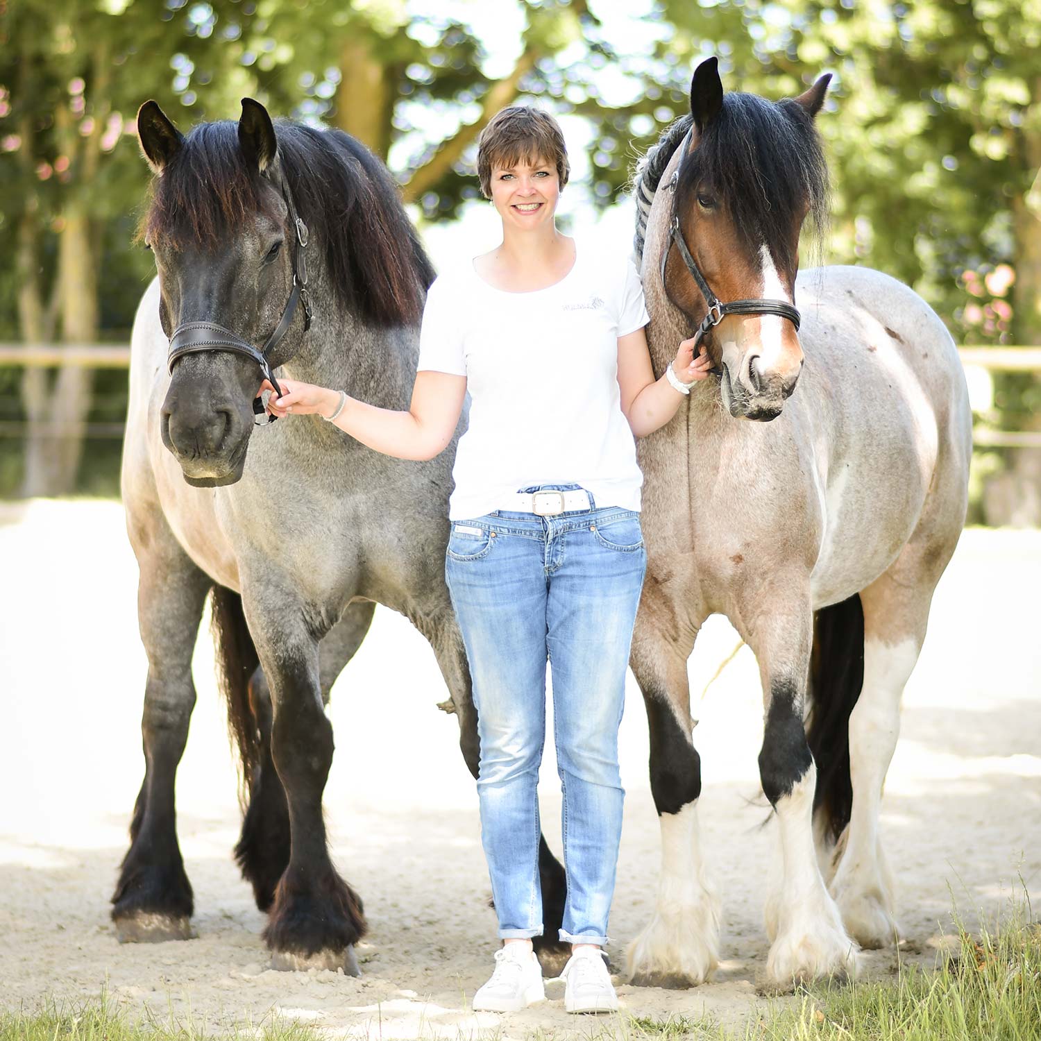 Pferdegestütztes Coaching; Pferd; Pferde; Katharina; Hülsken; Havixbeck; Münsterland; Baumberge